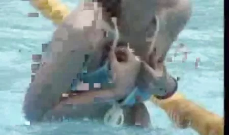Jest ona odpowiednia Szwedzkie porno dla zapalonych graczy