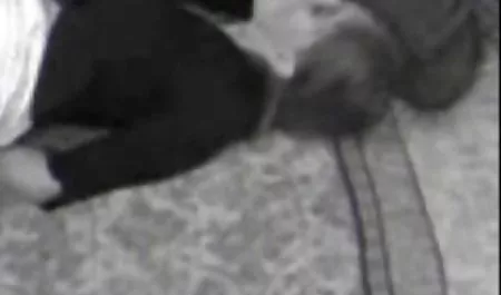 Piękna dziewczyna gra z jej anal video pussy
