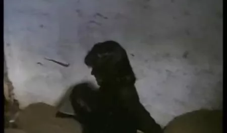UE gorący Pokojówka porno facet babci