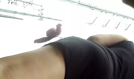 Po anal hd filmie dwa niemiecki grupa lesbijki