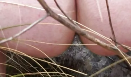 W wierności na całe nowe porno hd życie