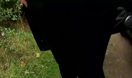 Gorący seks darmowe gej seks analny, laski podwójna penetracja twarz nastolatek bardzo krótki azjatki anal fetysz sex!