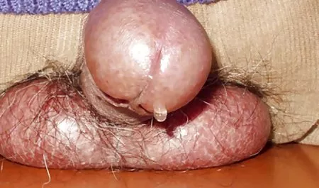 Tło najlepsze porno hd